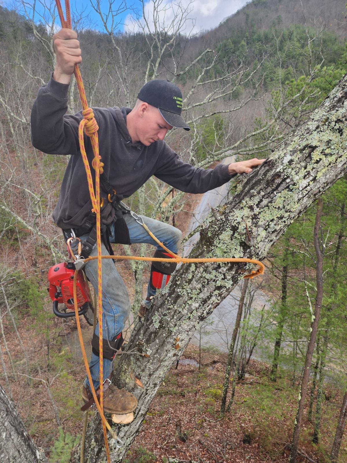 J & J Professional Tree Service in Knoxville, TN