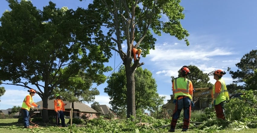 Storm Cleanup J & J Professional Tree Service in Knoxville, TN