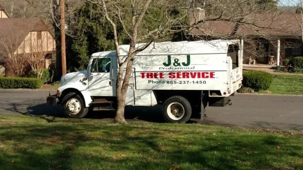 Land Clearing J & J Professional Tree Service in Knoxville, TN