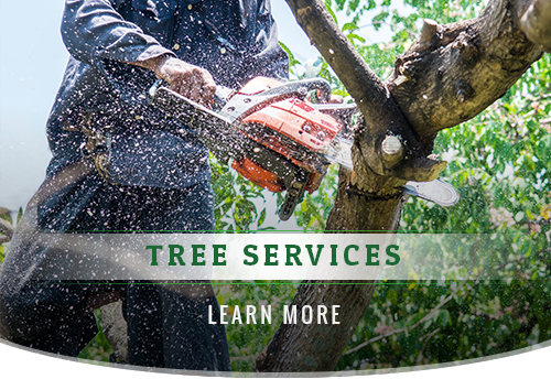 General Tree Services J & J Professional Tree Service in Knoxville, TN