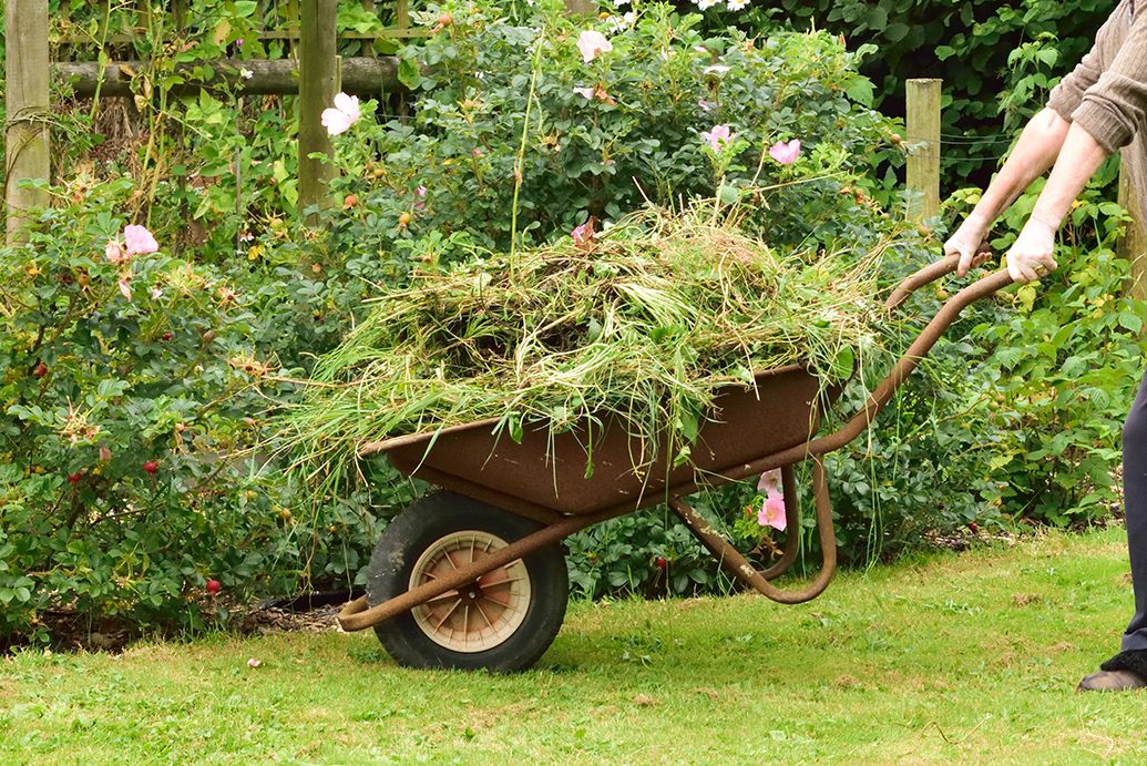 J & J Professional Tree Service in Knoxville, TN